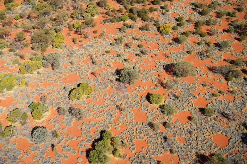 Drone footage of green fairy circles in Australia 