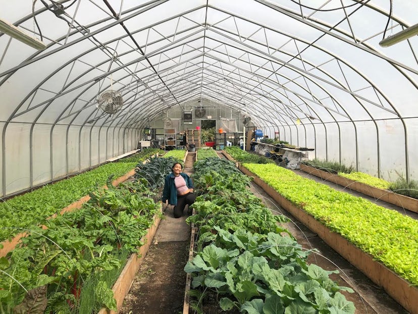 A long greenhouse, with a young girl posing on her knees, in the middle of it. 