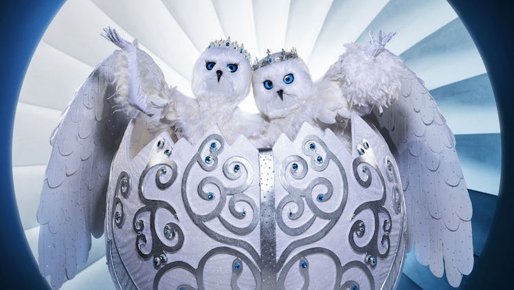 The Masked Singer