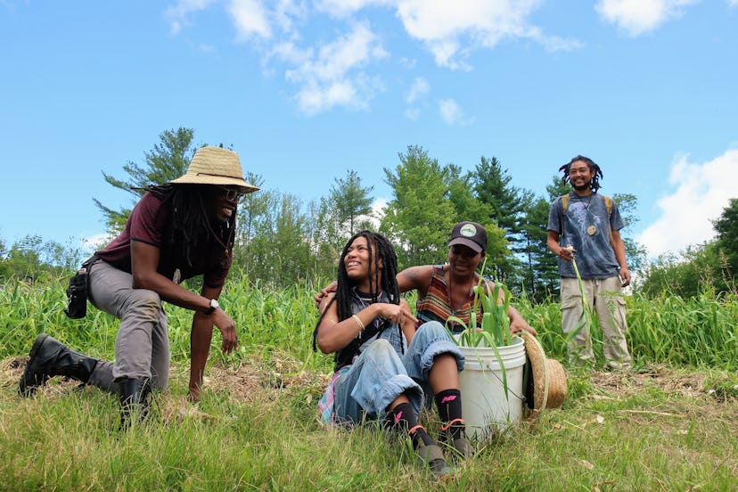 Four young people doing some work in a field, with wide smiles on their faces. 