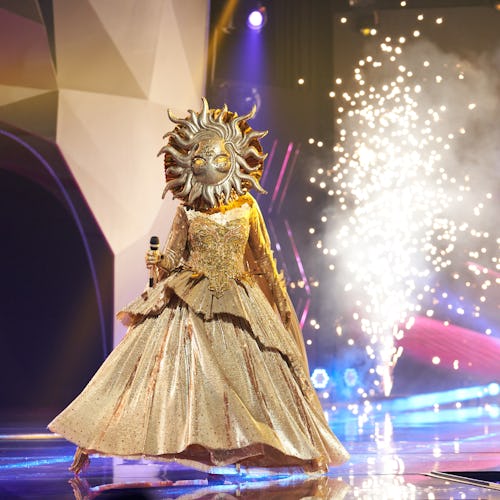 The Sun on 'The Masked Singer' Theories (via Fox)