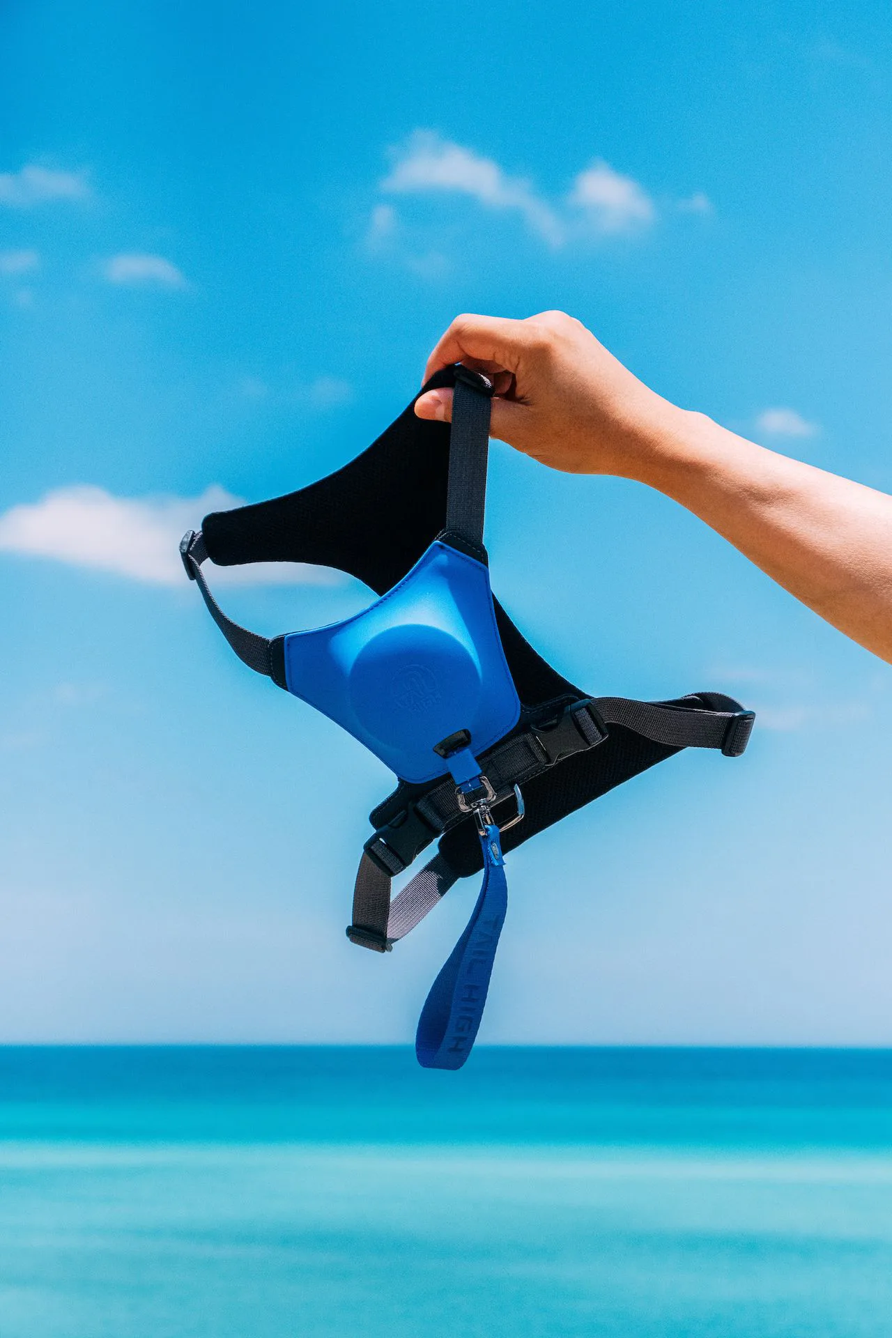 harness with retractable leash