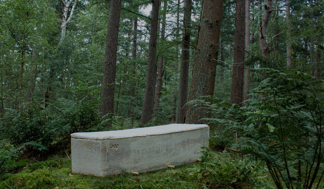 Loop coffin in woods