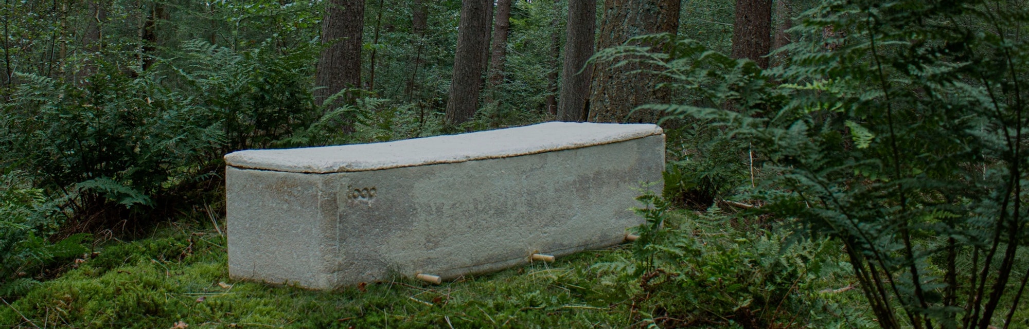 Loop coffin in woods