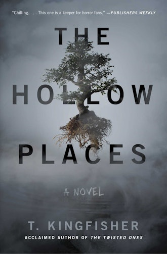 'The Hollow Places' by T. Kingfisher