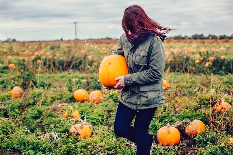 Use these pumpkin patch puns when sharing all your pumpkin picking pics on Instagram.