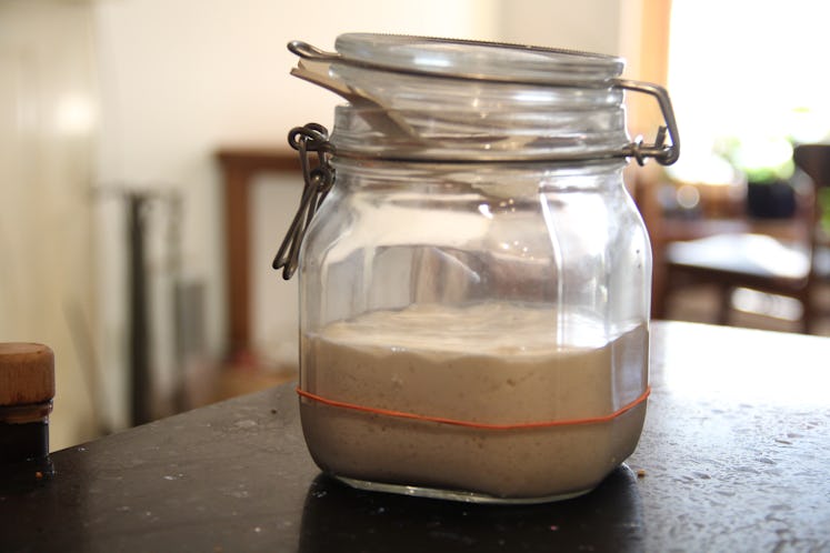 Active sourdough starter in jar
