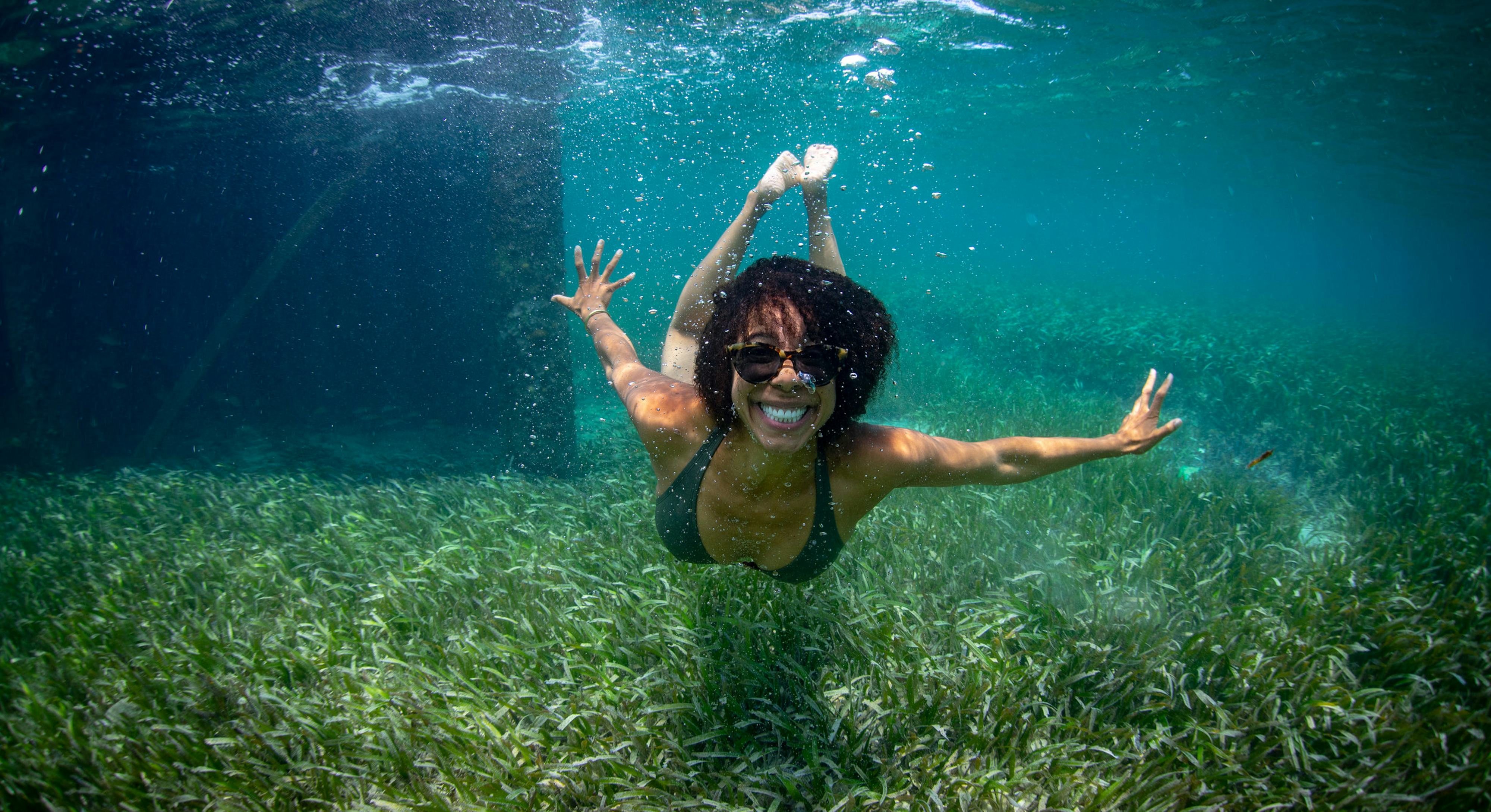 Ayana Elizabeth Johnson How a young, Black marine biologist turned