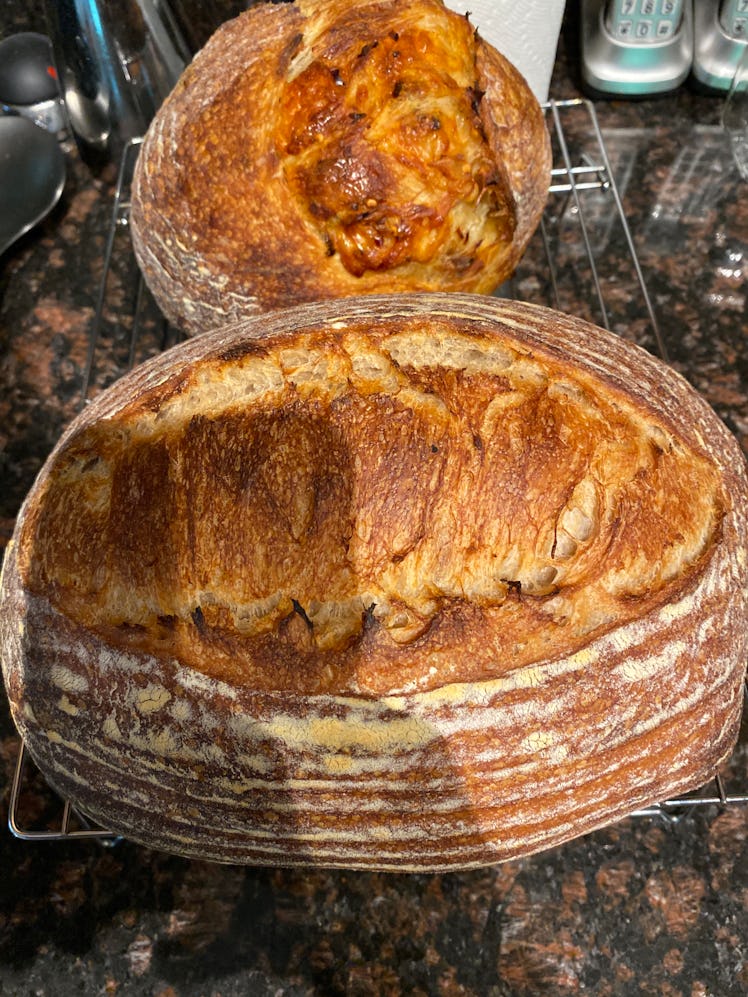 Baked sourdough bread