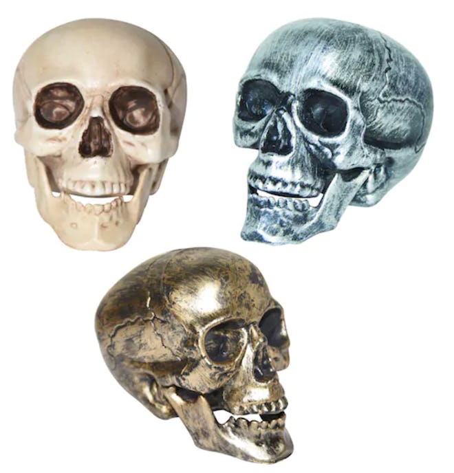 Assorted Plastic Skull