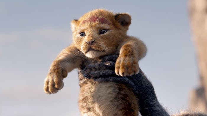 A new 'Lion King' is in the works at Disney+.