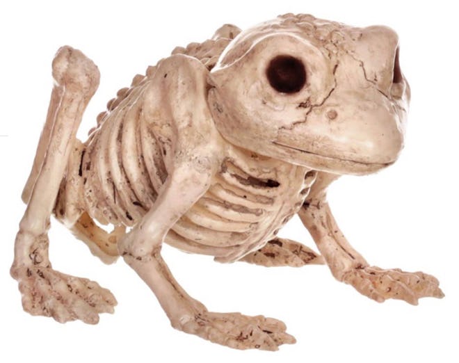 Frog Skeleton Decoration