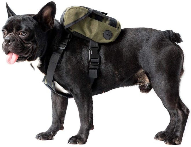 OneTigris Eureka K9 Dog Backpack