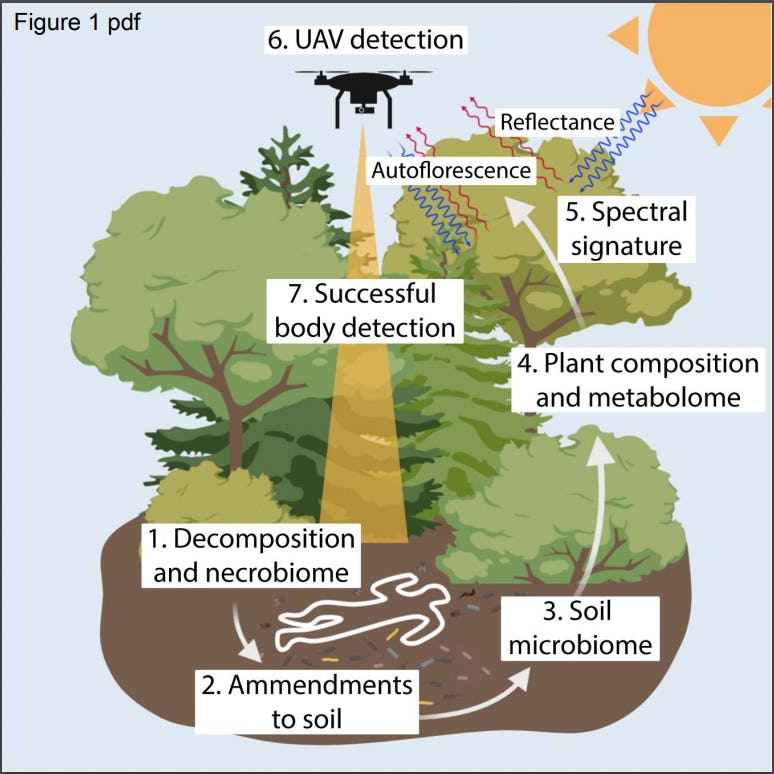 Forensic botanists The science of using plants to find bodies