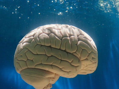 Brain in water