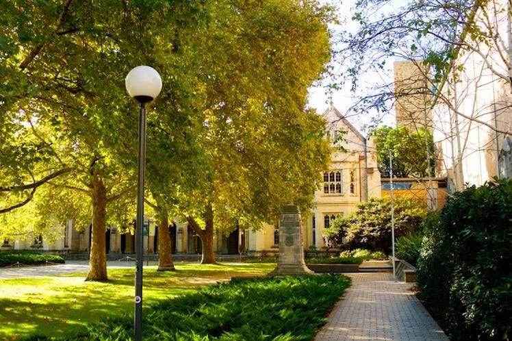 A college quad during the pandemic. Latinx students are organizing voting drives during the coronavi...