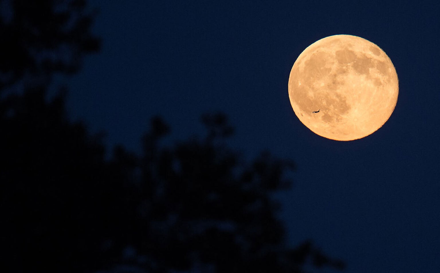 You need to see the Harvest Moon in the night sky Thursday