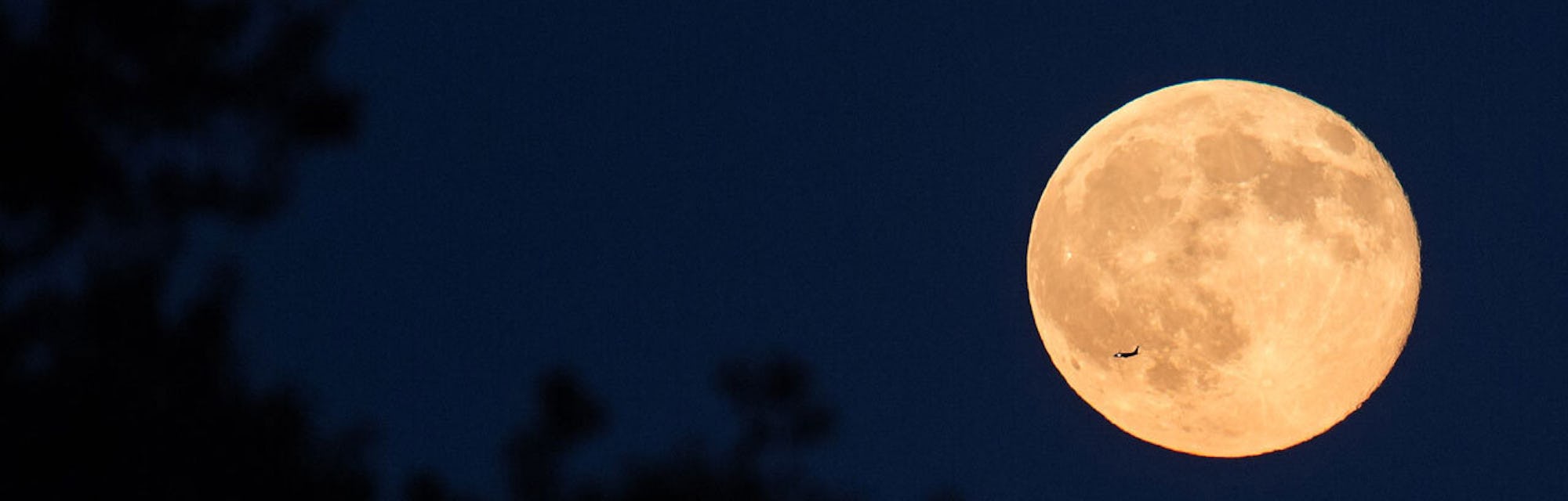 You Need To See The Harvest Moon In The Night Sky Thursday You Need To See The Harvest Moon In The Night Sky Thursday