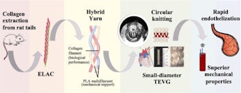 A diagram for a study on collagen and synthetic fiber for artery substitutes.