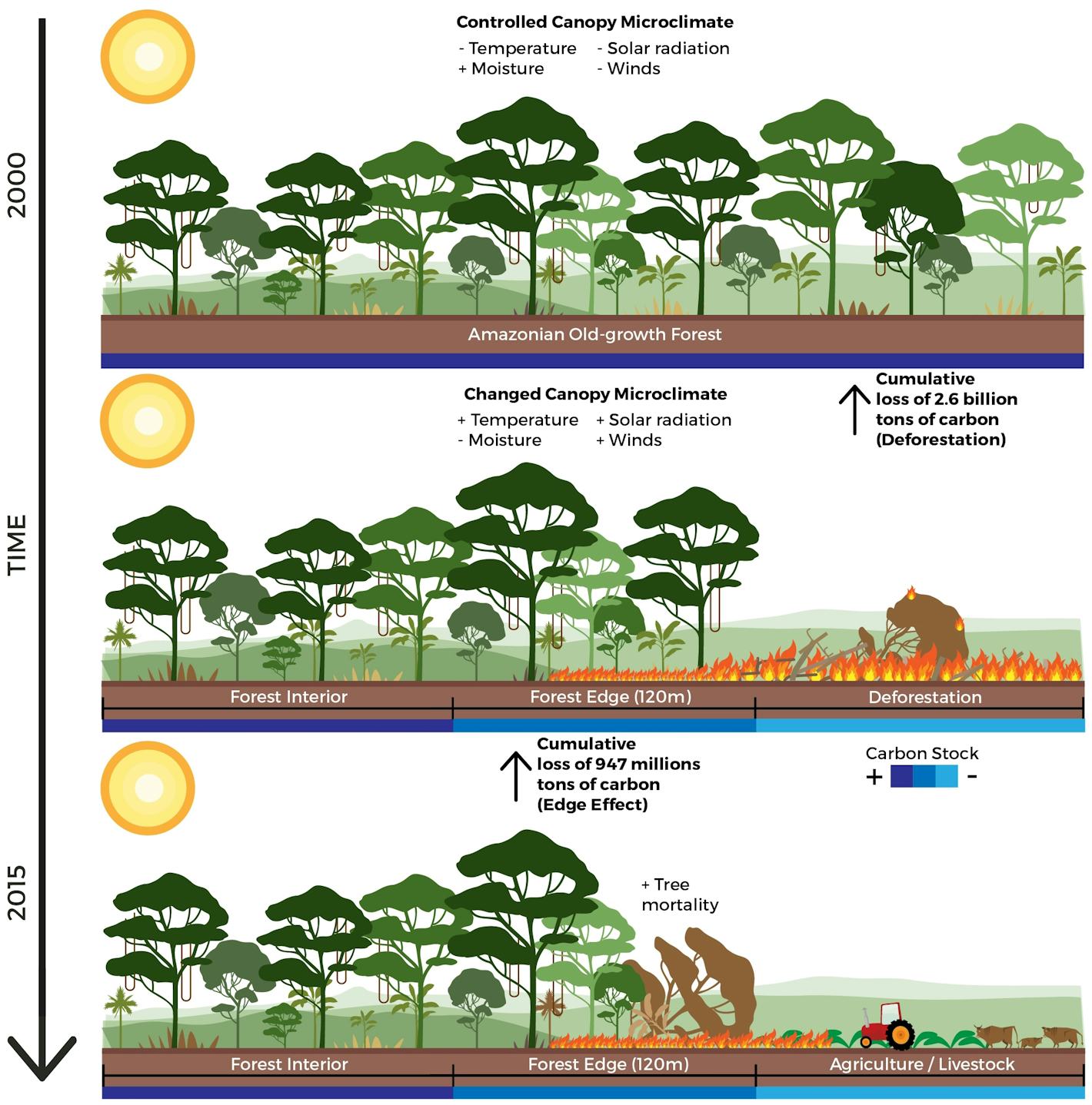 deforestation and climate change case study