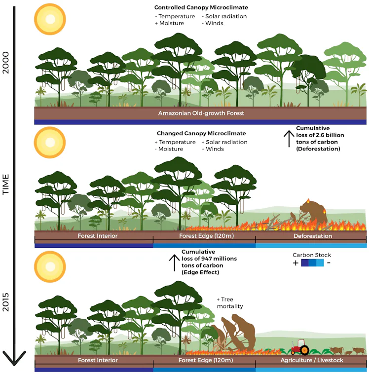 Deforestation's unexpected side effect on climate change