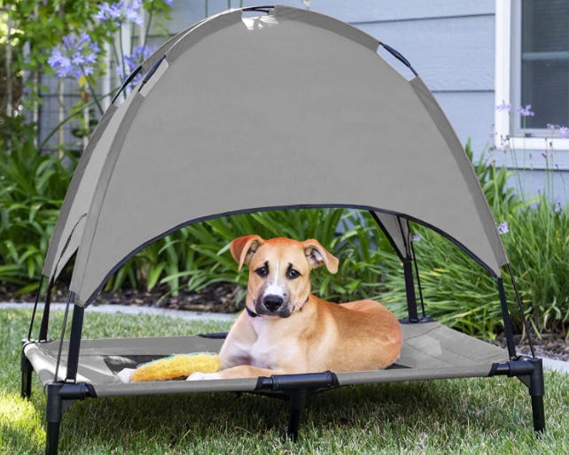 The 5 Best Outdoor Dog Beds