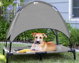 Best Choice Products Raised Dog Bed With Removable Canopy