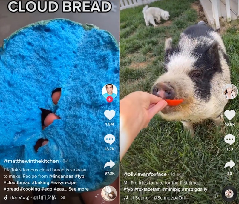 13 Sides Of Tiktok Beyond Dancing 13 Sides Of Tiktok Beyond Dancing