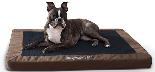 K&H Pet Products Comfy N' Dry Indoor-Outdoor Orthopedic Dog Bed
