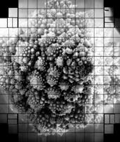 Projected image from the sensors for the largest digital camera in the world