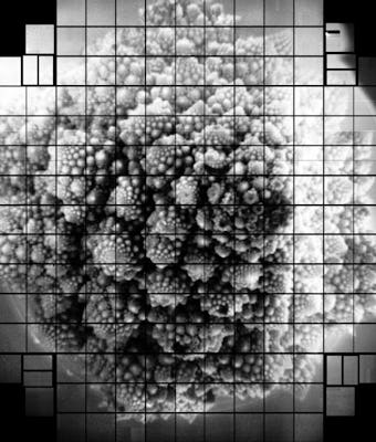 Projected image from the sensors for the largest digital camera in the world