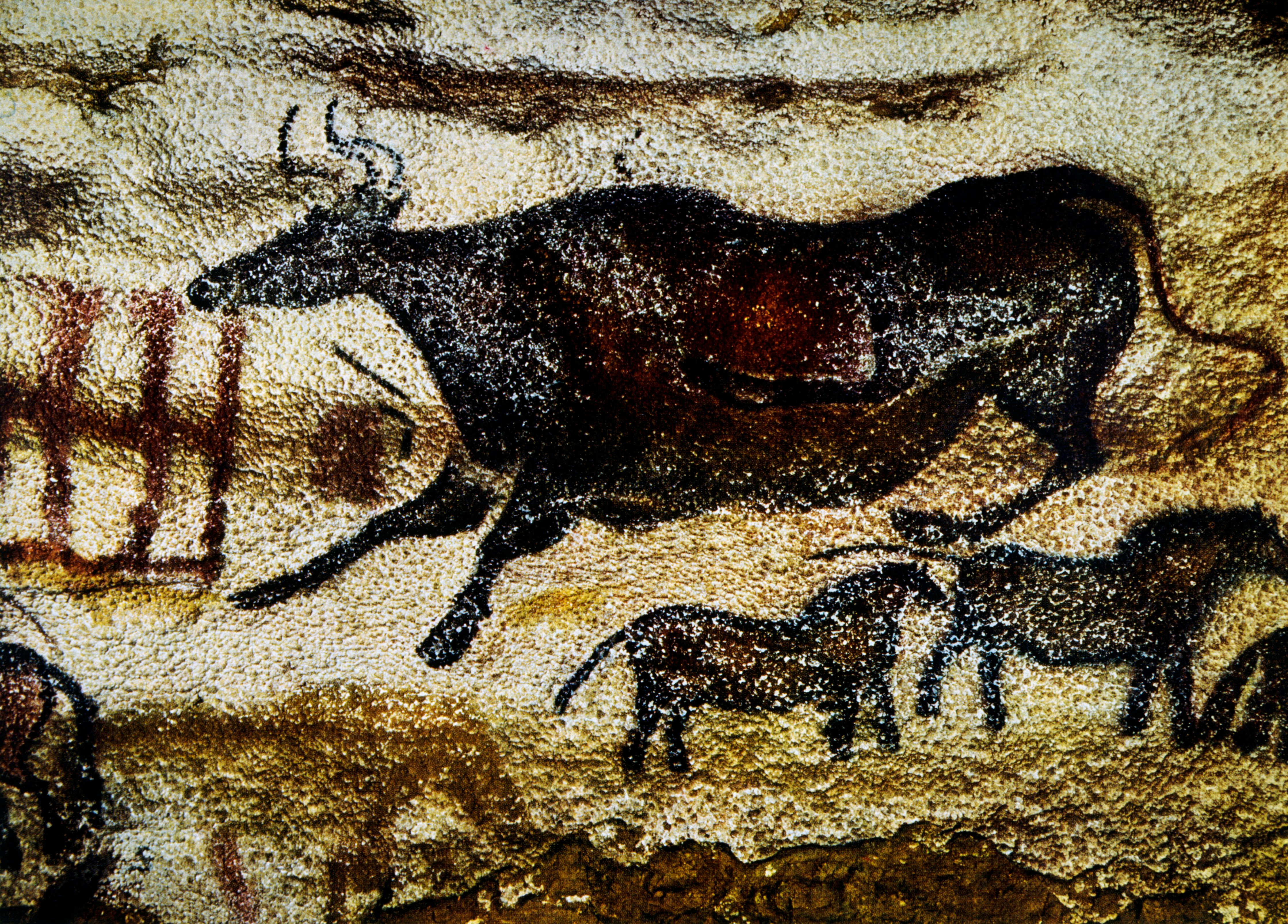 Лошадь пещера Ласко Франция Наскальная живопись палеолита