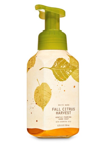 Fall Citrus Harvest Gentle Foaming Hand Soap