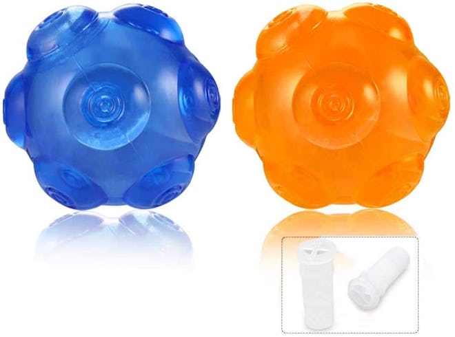 ACEONE Dog Squeaky Balls (2-Pack)