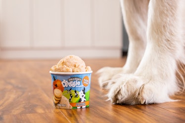 Ben & Jerry's new Doggie Desserts line includes two different flavors. 