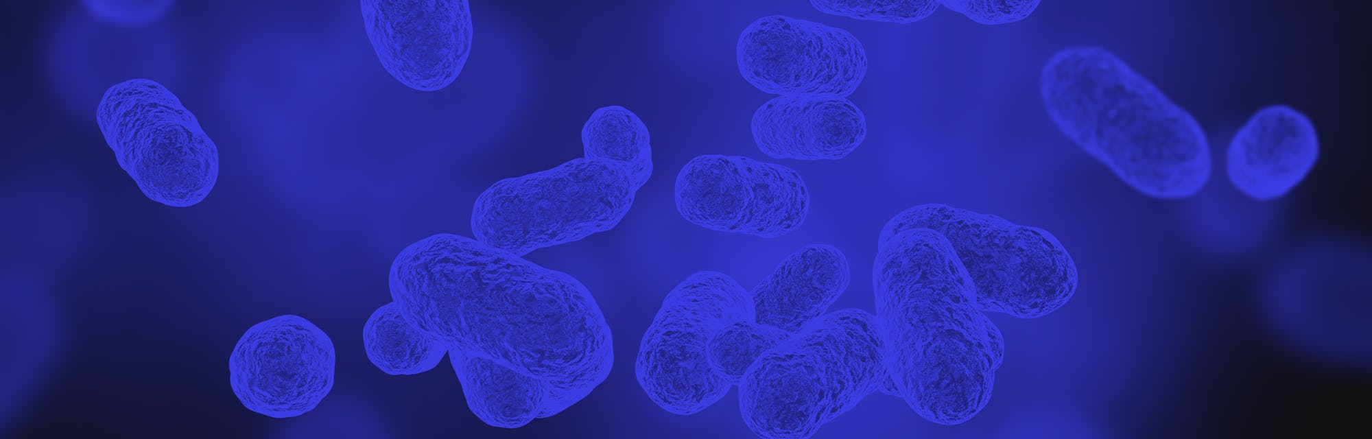 gut microbiota