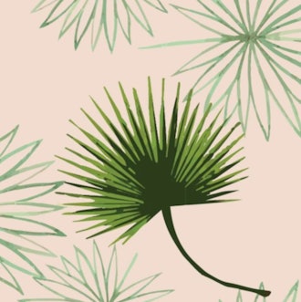  Cabbage Palm - Pink Wallpaper - Bohemian Bungalow Collection