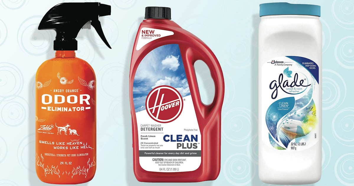 The 5 Best Carpet Deodorizers