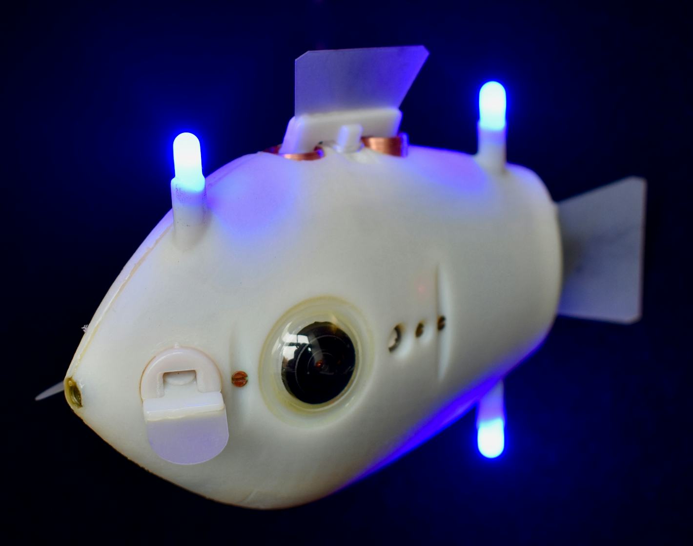 Robot fish illustrate 'collective intelligence' at work in nature
