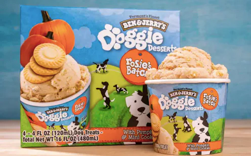 Ben & Jerry's dog ice cream