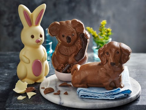 Chocolate sausage dog at M&S