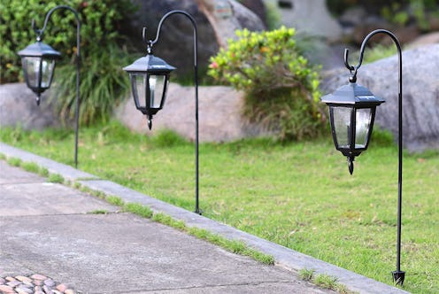 Best Solar Path Lights