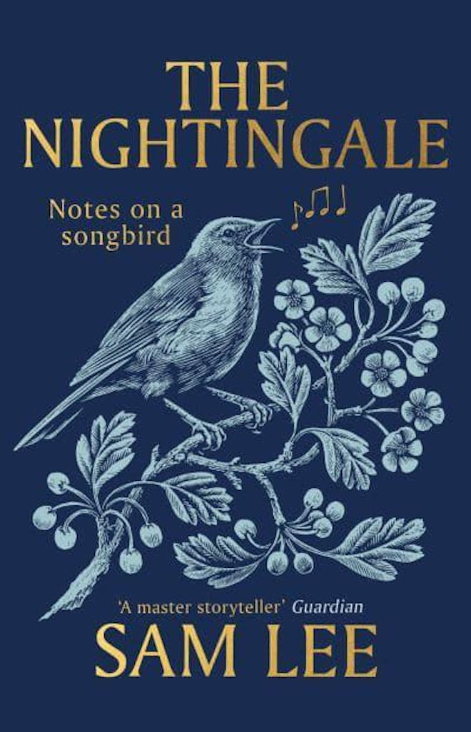 'The Nightingale' by Sam Lee