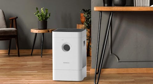 Best Air Purifier And Humidifier Combos