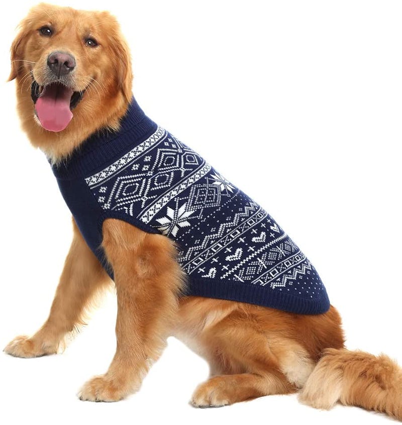 The 13 Best Dog Sweaters In 2022