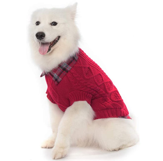 SCENEREAL Dog Sweater With Plaid Shirt