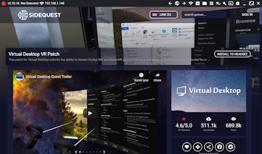 Oculus Quest 2/Quest/Go Wireless Virtual Desktop - Half-Life Alyx