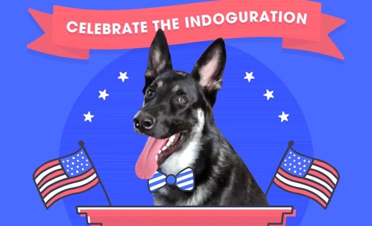 Major Biden's indoguration video is so cute.