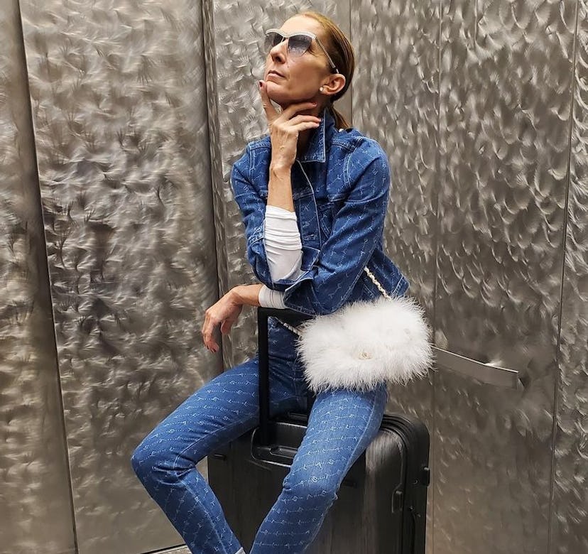 Celine Dion wearing a fuzzy white Chanel bag.