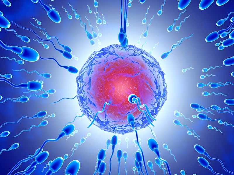 sperm